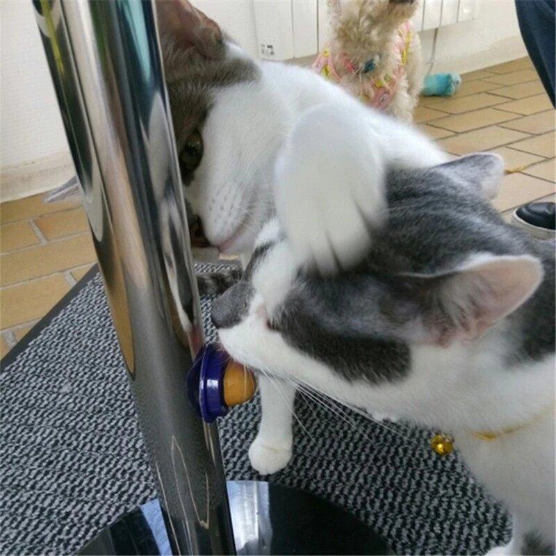 Cat sugar stress relief snack