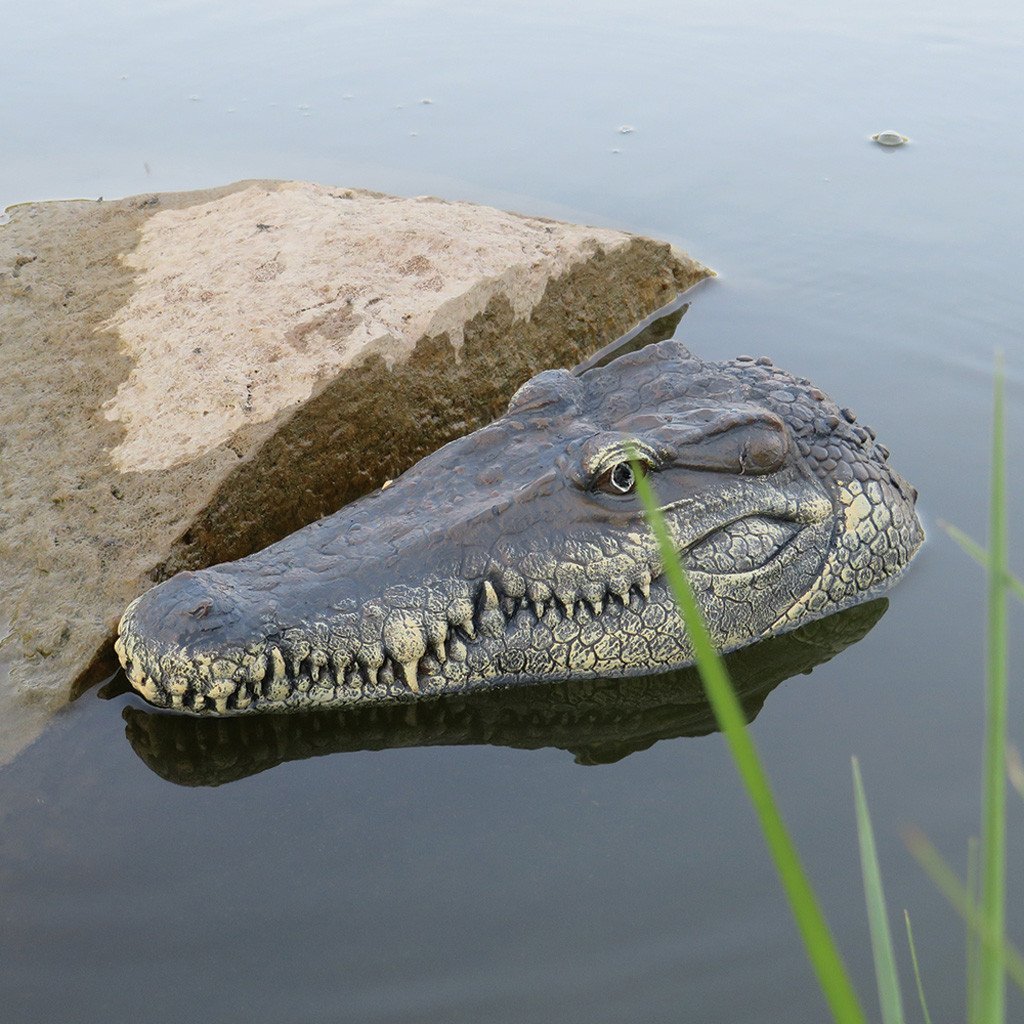 RC Crocodile Head