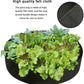 RaisedGreen® Garden Bed
