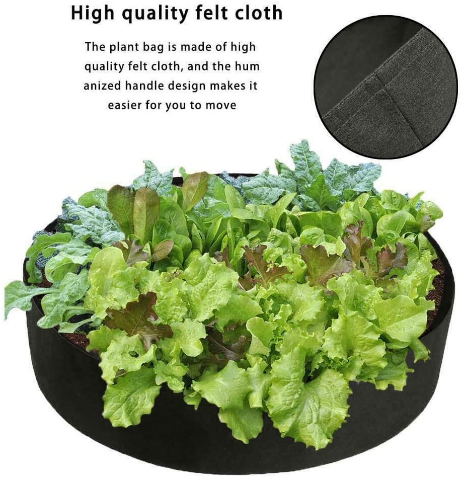 RaisedGreen® Garden Bed