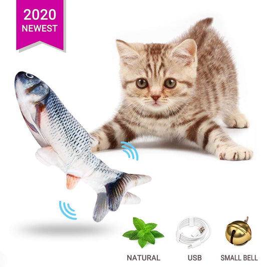 Floppy Fish