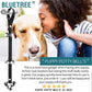 Doggy Training Bells (Buy 2, Get 1 FREE Today!)