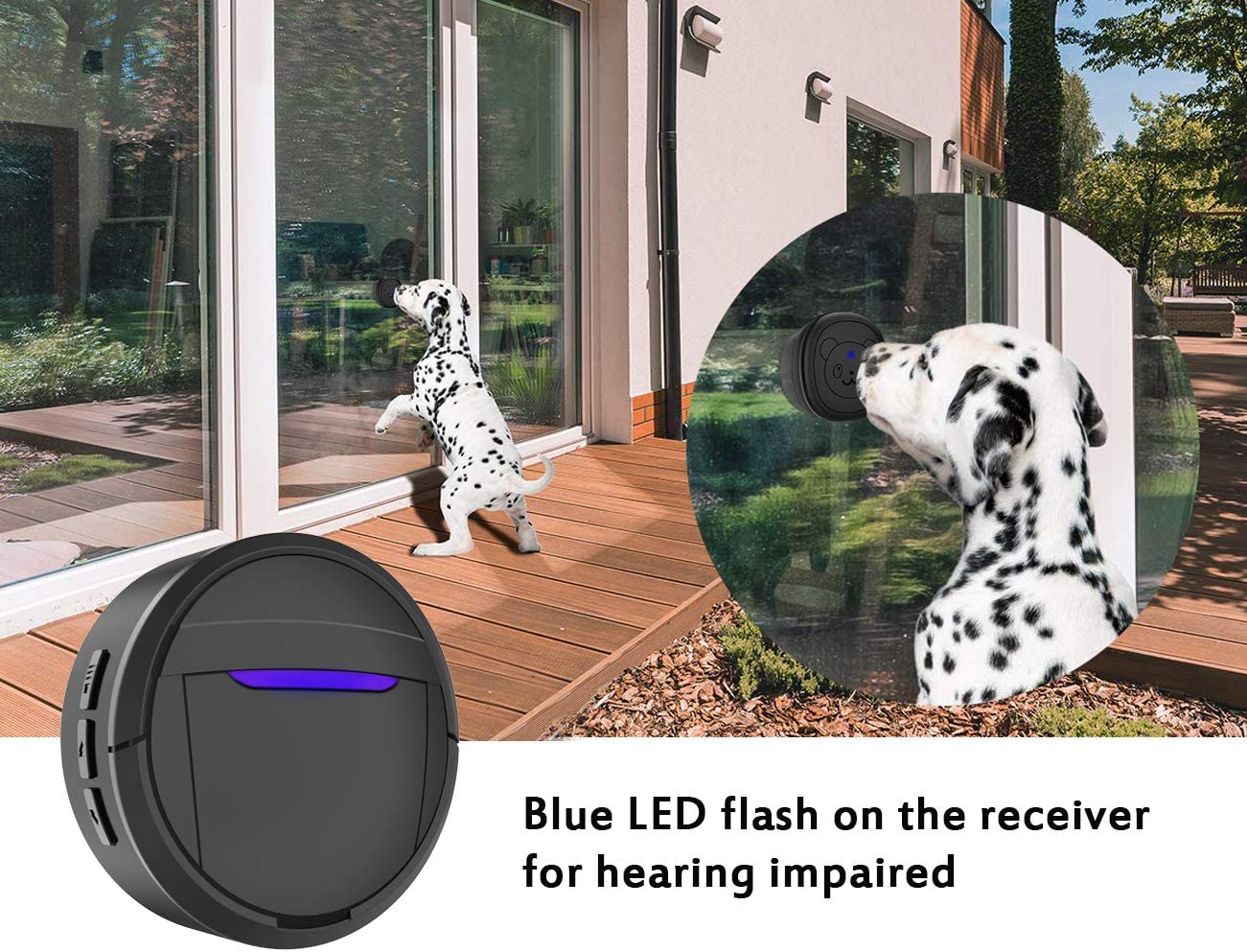 Doggy Doorbell