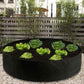 RaisedGreen® Garden Bed
