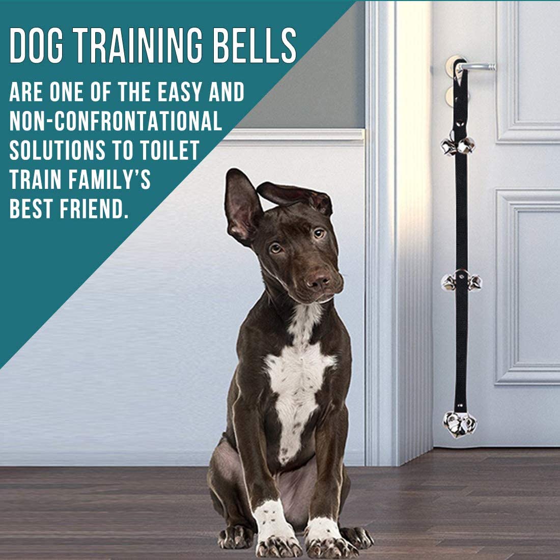 Doggy Training Bells (Buy 2, Get 1 FREE Today!)
