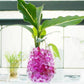 HydraGel Crystal Soil 10,000 Gel Beads