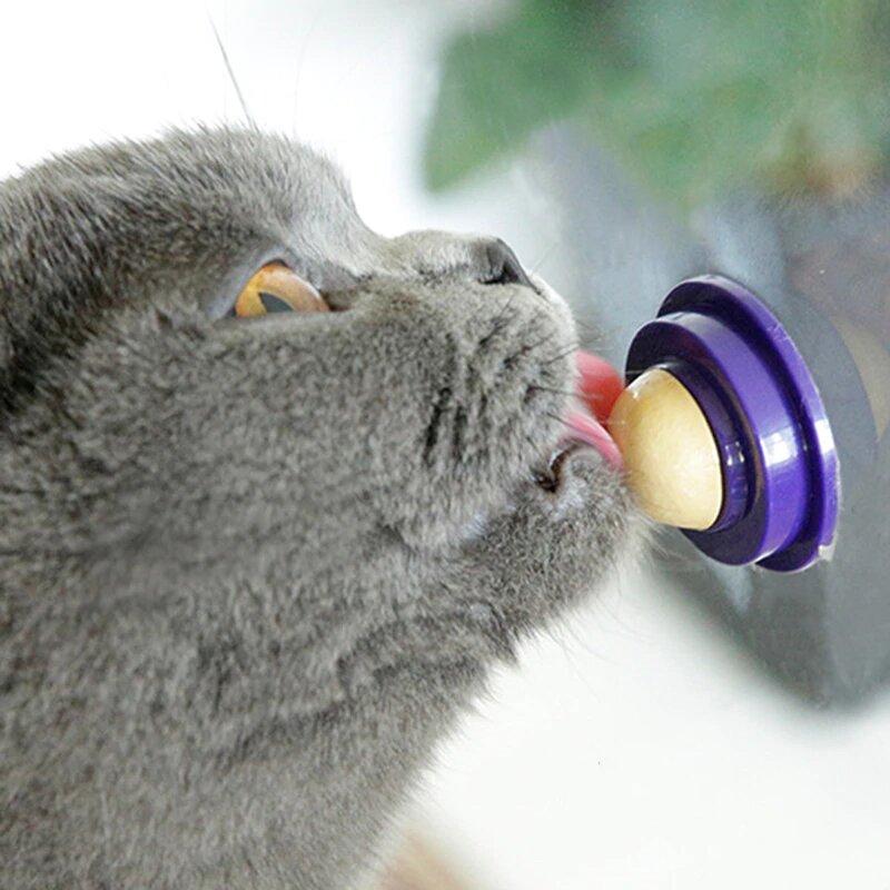 Cat sugar stress relief snack