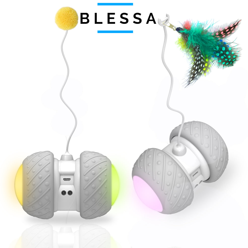 Blessa™ Smart Interactive Cat Toy