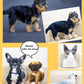 CutiePillow -- Custom Pet Pillow