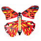 OMG Butterfly! (3 Pack)