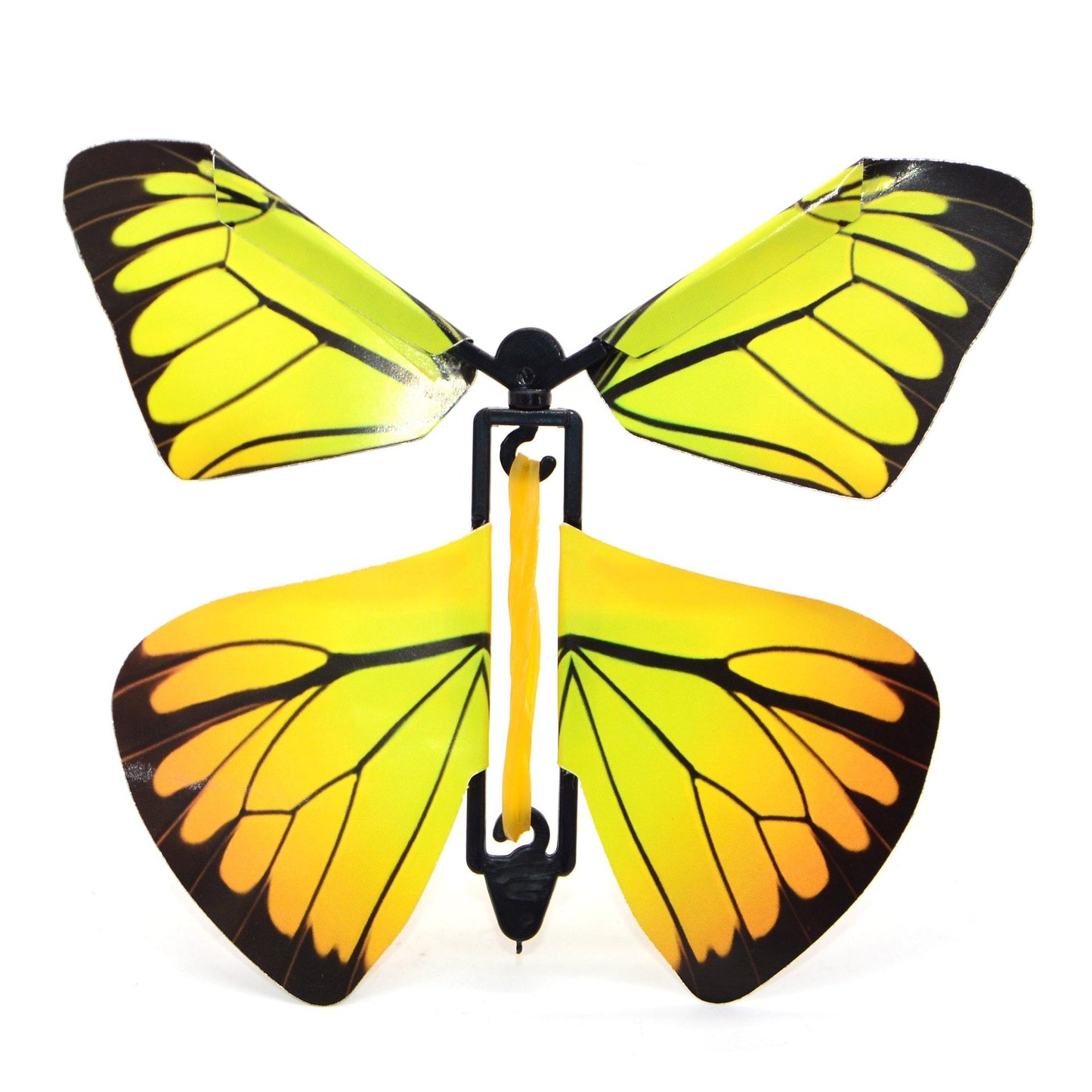 OMG Butterfly! (3 Pack)