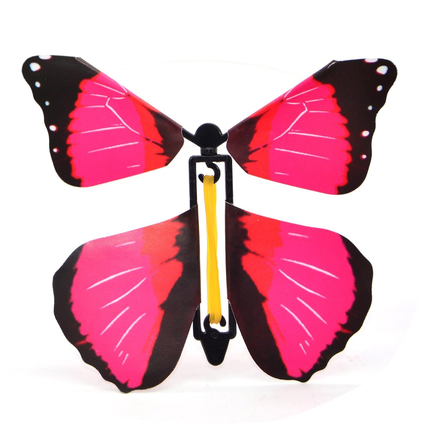 OMG Butterfly! (3 Pack)