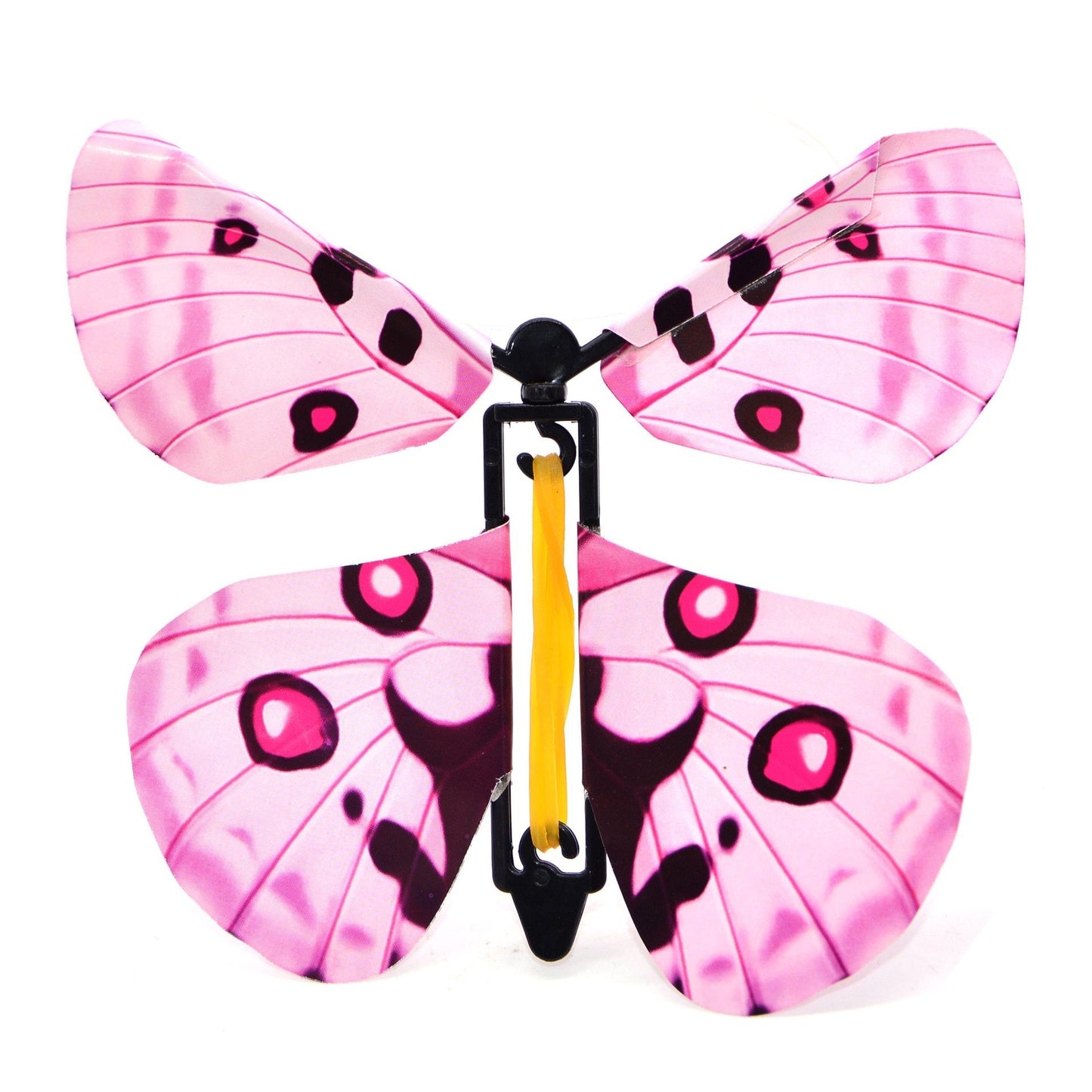 OMG Butterfly! (3 Pack)