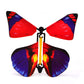 OMG Butterfly! (3 Pack)