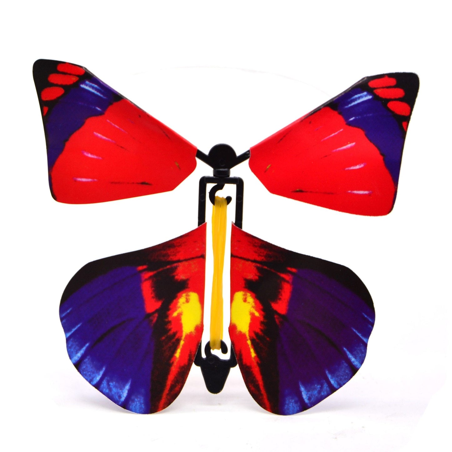 OMG Butterfly! (3 Pack)