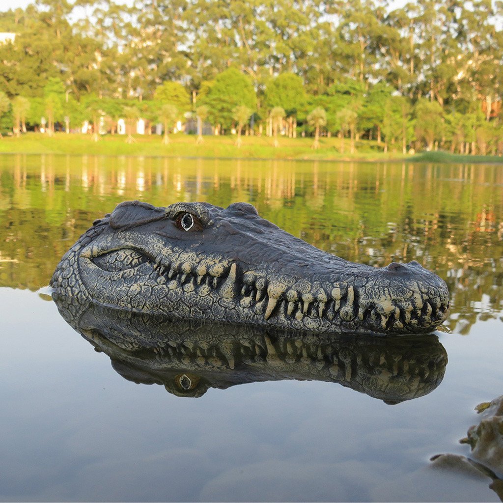 RC Crocodile Head