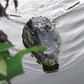 RC Crocodile Head