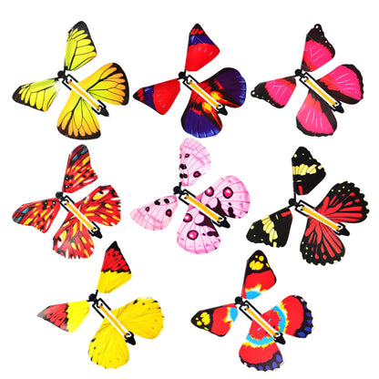 OMG Butterfly! (3 Pack)