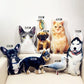 CutiePillow -- Custom Pet Pillow