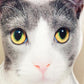 CutiePillow -- Custom Pet Pillow